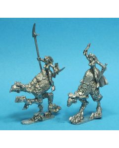 Ice Witch Gargoyle Riders