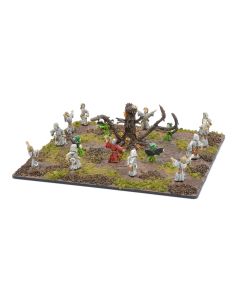 Druid Coven with Sprites