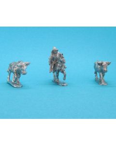 Bull Herd