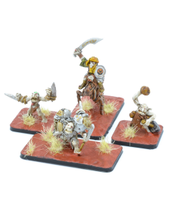 Goblin Heroes and Characters