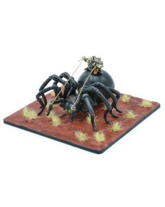 Macrothele - Giant Spider