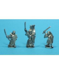 Dark Elf Warriors