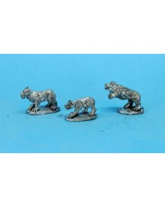 Wild Dogs