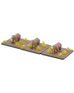 Bears