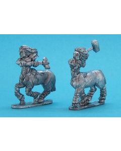 Centaur Warmbloods