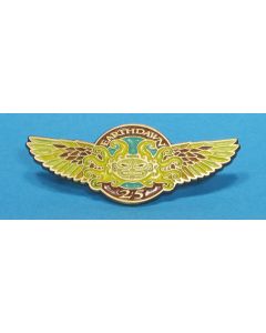 Earthdawn 25th Anniversary Pin