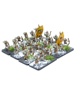 Undead Basic Starter Army