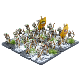 Undead Basic Starter Army