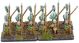 Noble Pikemen