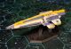Spiculum Class Destroyer