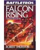Falcon Rising print