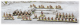 Dwarf Basic Starter Army